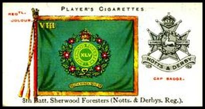 10 8th Battalion Sherwood Foresters (Notts. & Derbys. Regiment)
